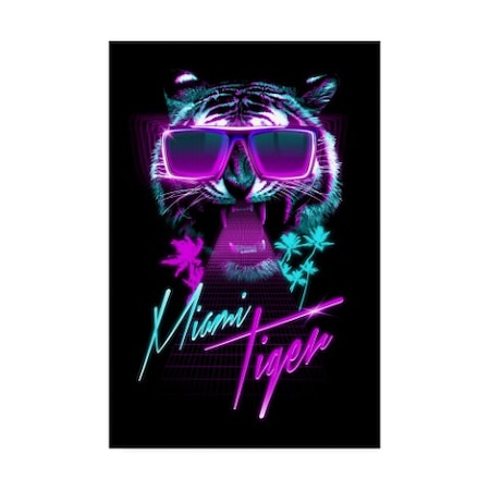 Robert Farkas 'Miami Tiger' Canvas Art,16x24